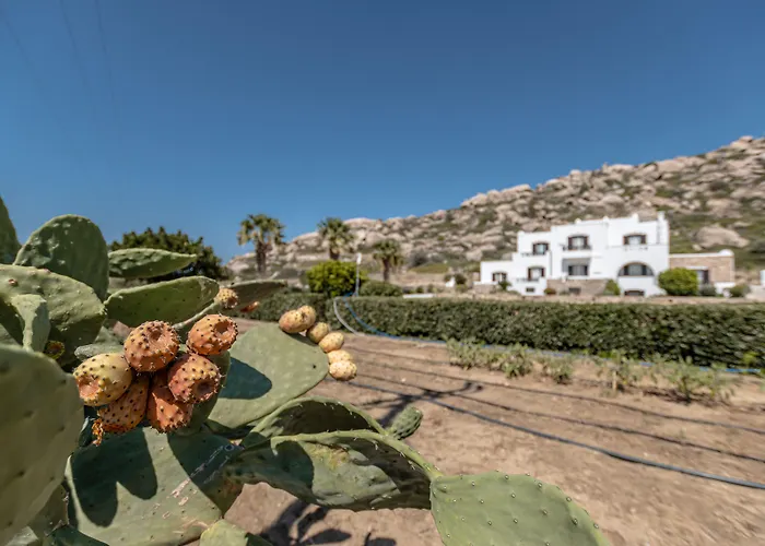 Zefyros Aparthotel 3*